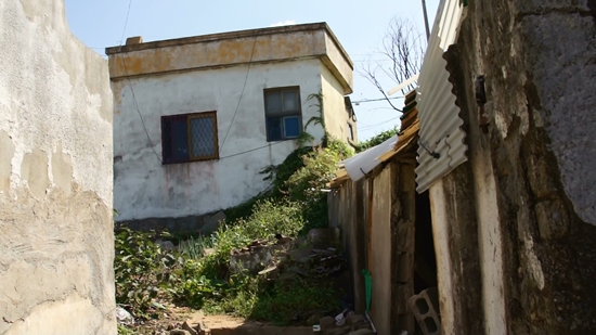 144.jpg