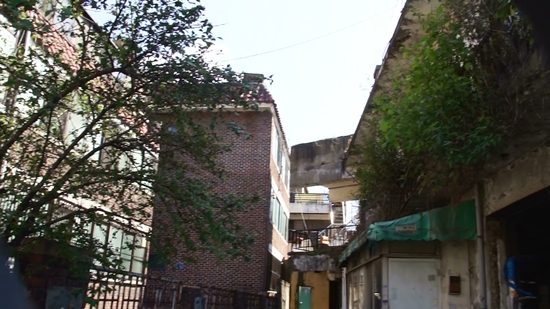 2010suseh (29).jpg